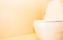 Toilet Emas 18 Karat Senilai Rp106 M Dicuri, ini Sosok Pelaku Dijatuhi Hukuman Penjara