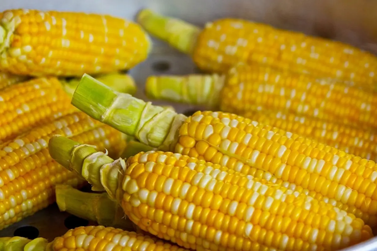 Bahan sup jagung