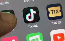 Pemerintah Wanti-Wanti Aplikasi China Mirip Tiktok, Potensi Ganggu UMKM