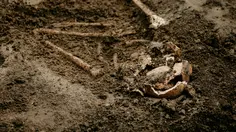 Mau Bangun SD, Warga Malah Temukan Makam Berusia 7.000 Tahun