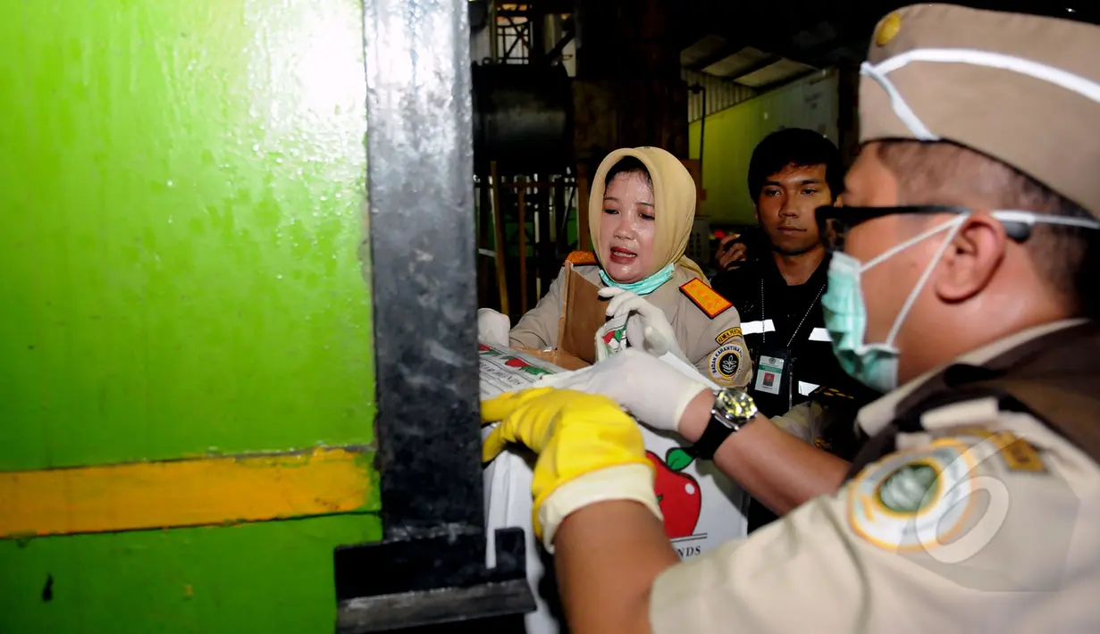Kepala Badan Karantina Kementerian Pertanian, Banun Harpini (kiri) memasukkan salah satu jenis apel tidak layak dan tidak aman makan untuk dimusnahkan dengan alat pembakar di Karawang, Jawa Barat, Jumat (6/3/2015). (Liputan6.com/Helmi Fithriansyah)