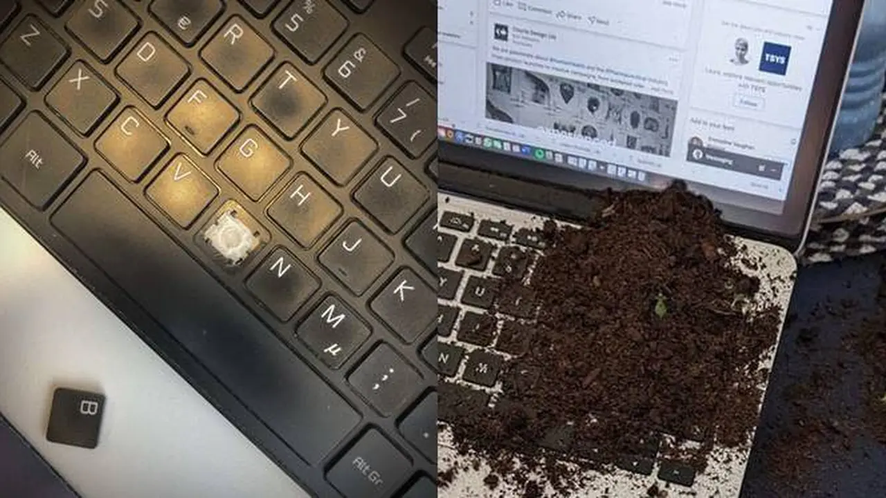 7 Momen Apes Lagi Kerja di Kantor yang Bikin Malas
