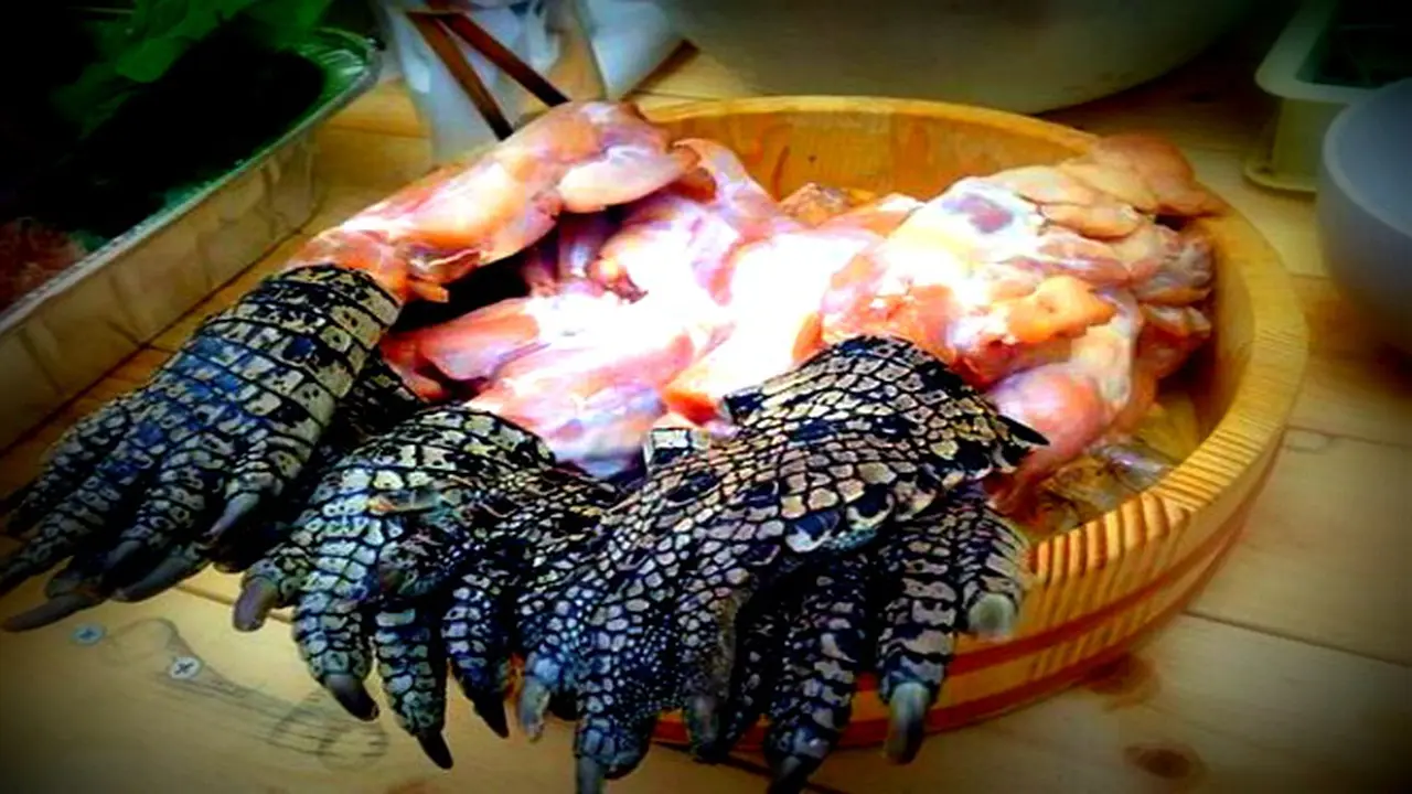 Ekstrem, Restoran Jepang Sajikan Menu Kaki Buaya sampai Piranha
