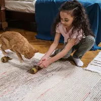 Ilustrasi&nbsp;Anabul dengan Anak-Anak/copyright paxels