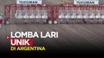 Berita video momen unik lomba lari di pacuan kuda, Tucuman, Argentina