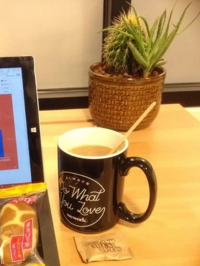 10 Inspirasi Tanaman Hias Mini yang Bikin Meja Kantor Jadi Ceria