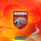 Borneo FC - Ilustrasi Logo Borneo FC 2024 (Bola.com/Adreanus Titus)