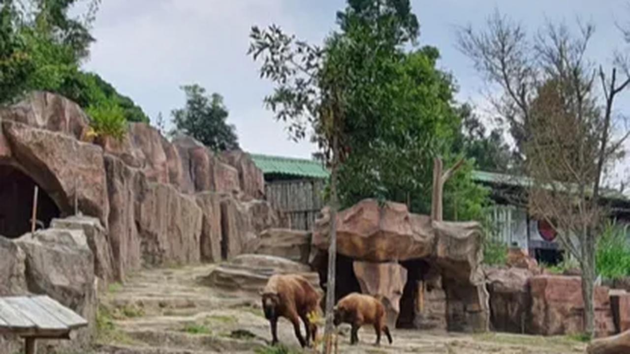 Lima Rekomendasi Tempat Wisata Murah di Jakarta, Lengkap dengan Harga Tiket Terbaru