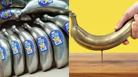 Pisang Besi Ini Bisa Dipakai Jadi Palu (Sumber: Oddity Central)