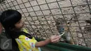Seorang anak memberi makan seekor rusa saat berkunjung ke Ragunan, Jakarta, Minggu (25/12). Hampir setiap tahun, Ragunan selalu dipadati pengunjung saat libur panjang. (Liputan6.com/Helmi Afandi)