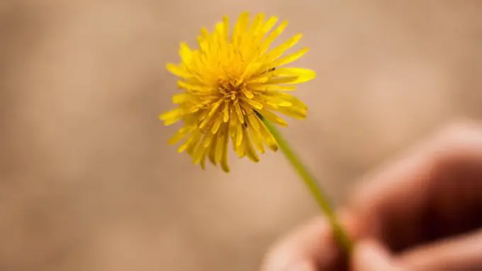 Ilustrasi./Copyright pexels.com/john-mark smith