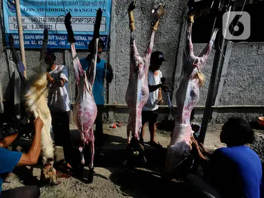 Warga menguliti hewan kurban sebelum dibagikan kepada masyarakat di Masjid Jami Al Magfiroh, Depok, Jawa Barat, Kamis (29/6/2023). (merdeka.com/Arie Basuki)