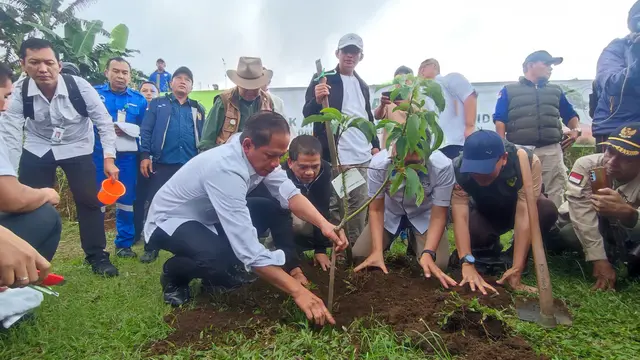 Menteri Lingkungan Hidup Hanif Faisol Nurofiq Tanam Pohon di Puncak Bogor
