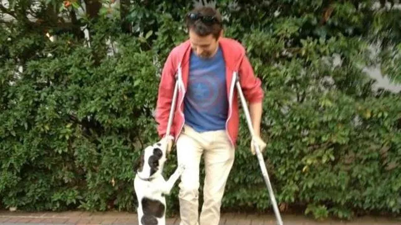 Matt Bellamy memberi kabar buruk untuk fansnya di Twitter