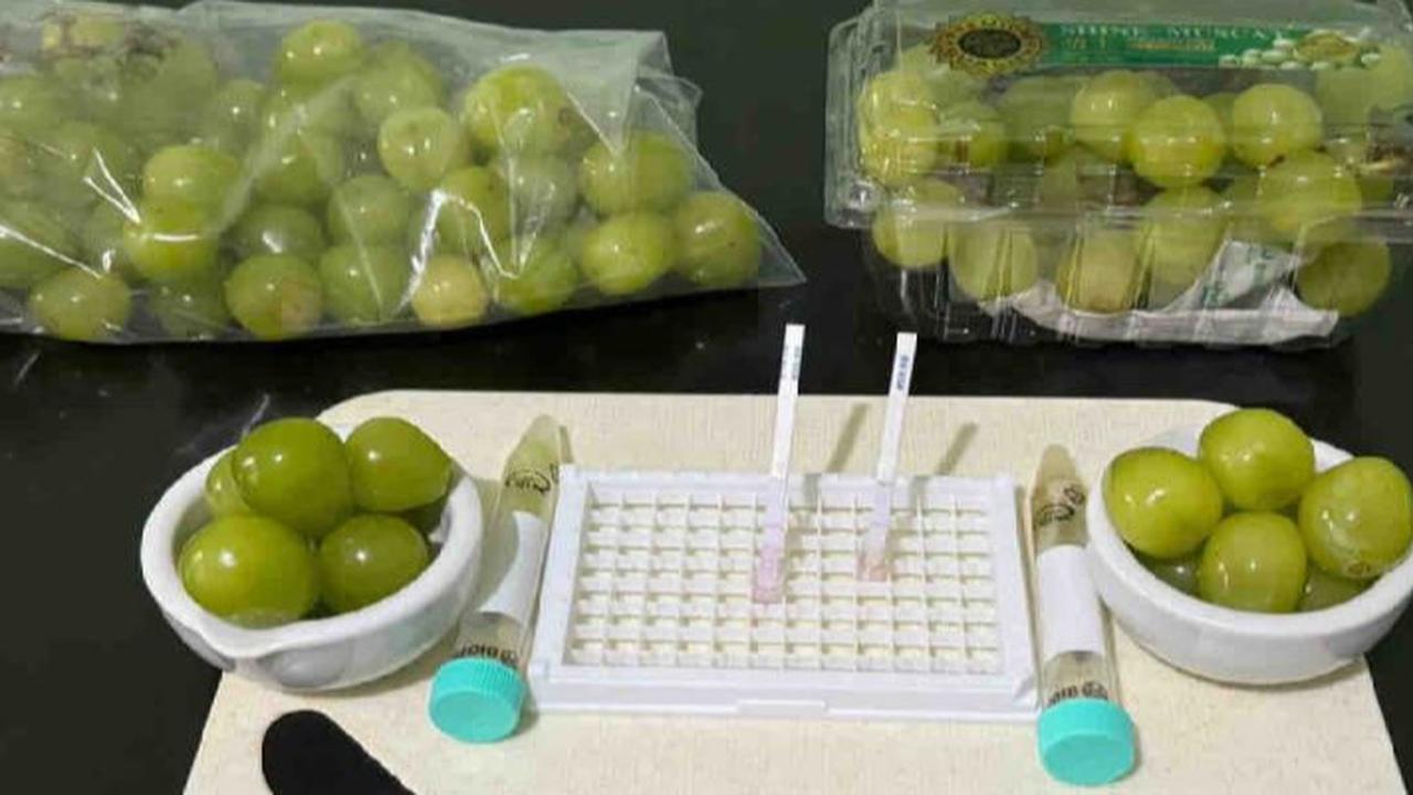 Hasil Uji Cepat Bapanas Keluar, Anggur Muscat Dipastikan Aman Dikonsumsi