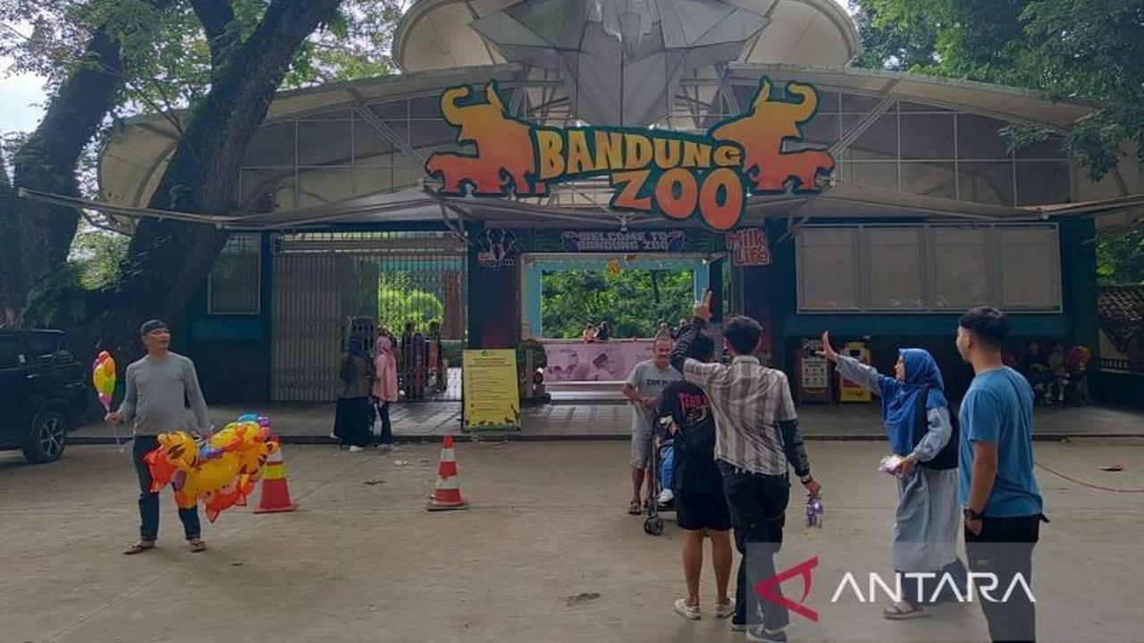 Siap Hadapi Gugatan Akta YMT Bandung Zoo, Manajemen Baru Yakin Sah dan Terdaftar di Kemenkumham