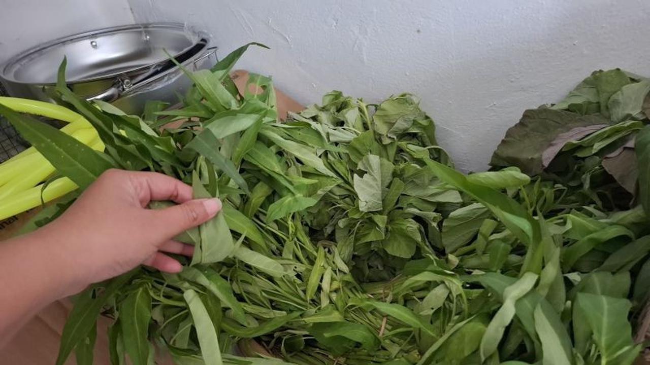 Pemprov Lampung Perluas Gerakan Selamatkan Pangan, Tekan Food Loss dan Food Waste