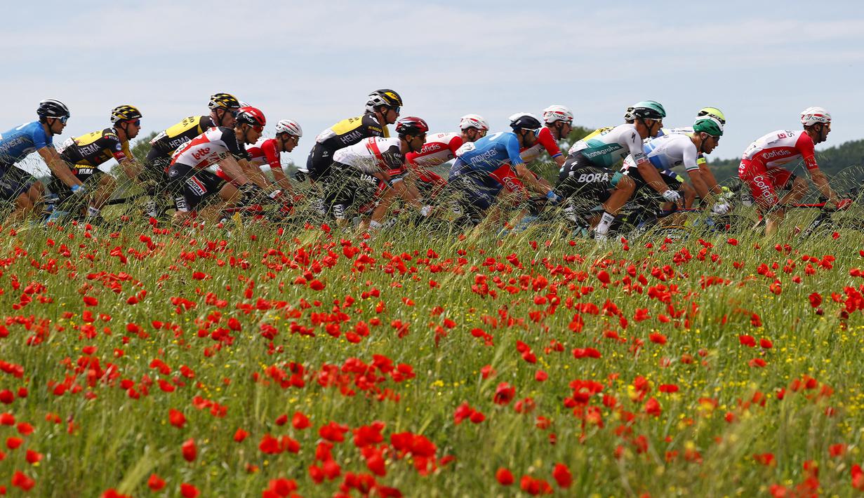 Rombongan pembalap melintasi perkebunan pada etape ke-10 Tour Balap Sepeda Giro d'Italia 2021 antara l'Aquila dan Foligno sejauh 139 km, Senin (17/5/2021). (AFP/Luca Bettini)