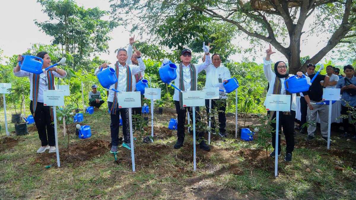 Hijaukan Hutan Lombok, Pertamina Lestarikan Lingkungan dan Beri Nilai Ekonomi untuk Masyarakat