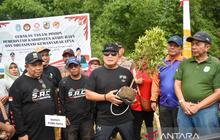 Tahukah Anda? Satu Pohon Serap 48 Pon Karbon Dioksida: Kubu Raya Gencarkan Penghijauan Tekan Emisi Gas Rumah Kaca
