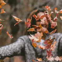 Ilustrasi musim gugur | unsplash.com/@jakobowens1