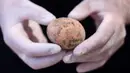 Arkeolog menunjukkan telur ayam berusia 1.000 tahun yang ditemukan selama penggalian di Kota Yavne, Israel, Rabu (9/6/2021). Telur ayam yang hampir utuh tersebut ditemukan baru-baru ini di sebuah tangki septik. (Emmanuel DUNAND/AFP)
