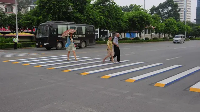 Zebra cross3