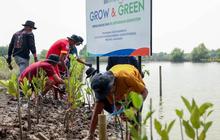 FOTO: Hari Mangrove Sedunia 2025, BRI Tunjukkan Aksi Nyata Selamatkan Ekosistem Pesisir Muara Gembong Bekasi