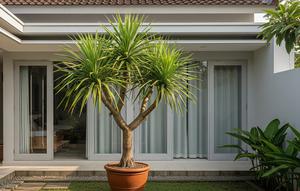 Jenis Tanaman Pot Luar Rumah yang Mudah Dirawat (Foto: AI)