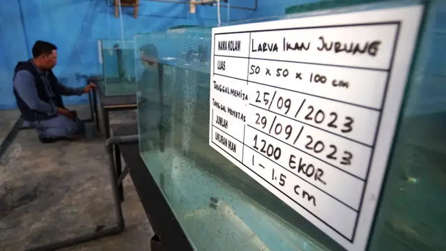 Ikan jurung