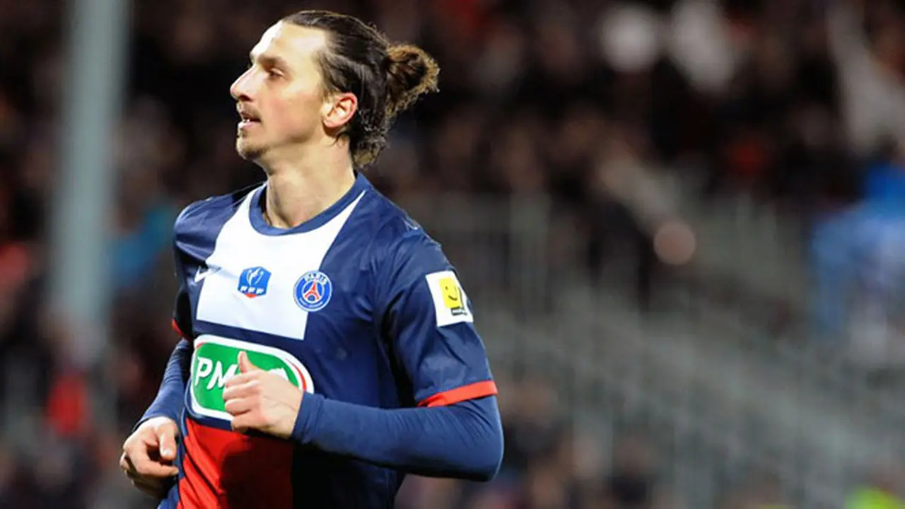 ibra-140110a.jpg