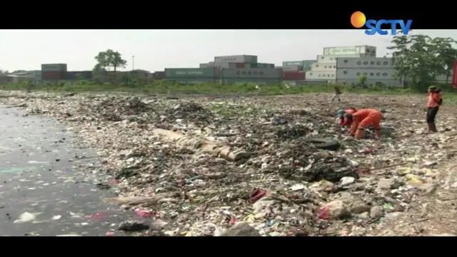Meskipun sudah tiga hari dibersihkan oleh Dinas Lingkungan Hidup Kepulauan Seribu, masih ada ebih dari 200 ton sampah masih menumpuk di sepanjang bibir pantai.
