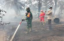 Fakta Mengejutkan: 448,73 Hektare Lahan Terbakar Akibat Karhutla Jambi Sepanjang 2025, Bagaimana Penanganannya?