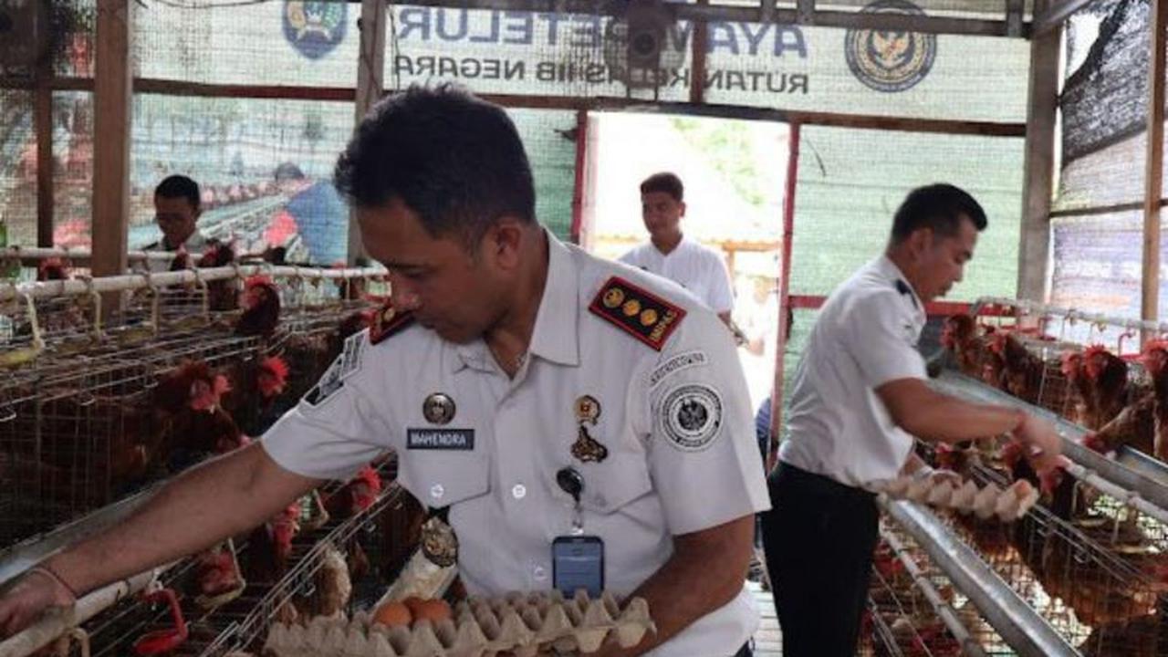 Warga Binaan Rutan Negara Sumbang Telur untuk Korban Bencana, Wujud Empati Kemanusiaan