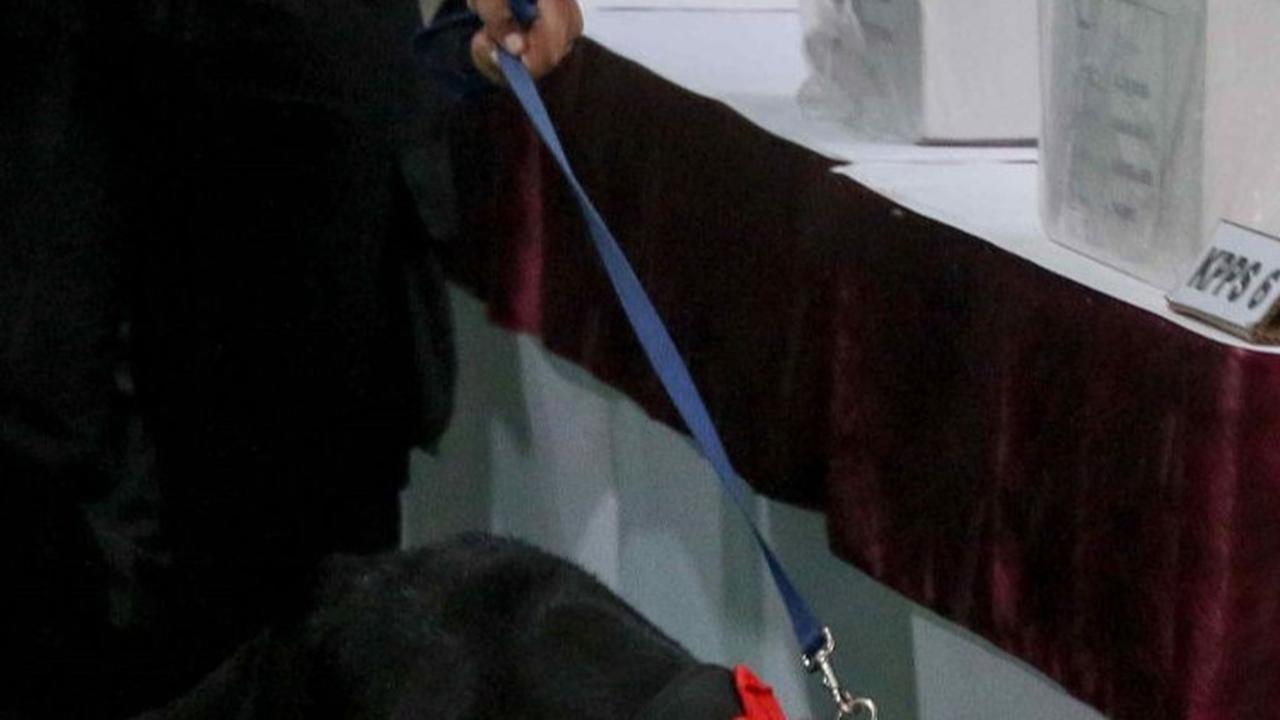 FOTO: Momen Pengerahan Anjing Pelacak K9 di TPS 033 Bojong Koneng, Tempat Prabowo Mencoblos