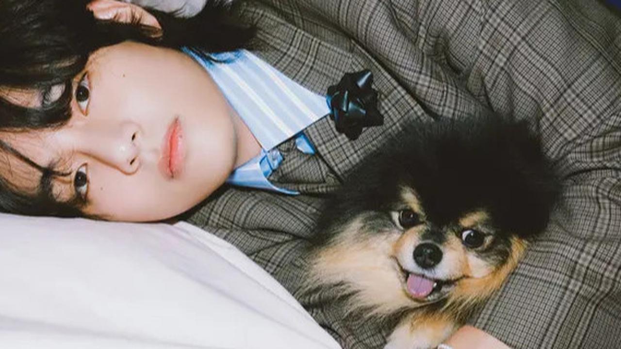Kenangan Manis Yeontan, Anjing Kesayangan V BTS yang Kini Telah Berpulang
