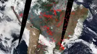 Kebakaran hutan Amazon tertangkap kamera satelit NASA dari antariksa. (NASA)