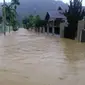 Banjir di Kabupaten Pesisir Selatan akibat hujan deras yang mengguyur sejak 23 September 2020. (Liputan6.com/ ist)