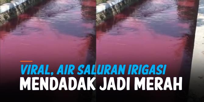 VIDEO: Heboh, Air Saluran Irigasi di Klaten Mendadak Jadi Merah
