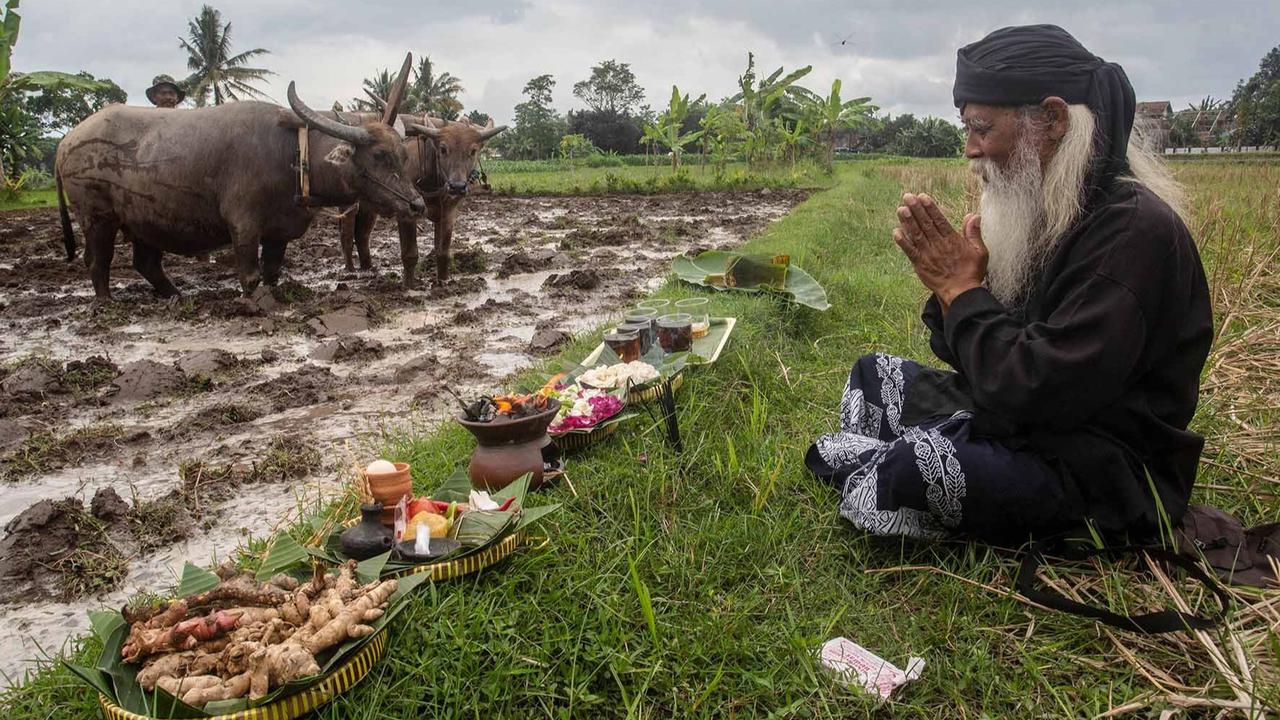 FOTO: Doa Petani Sleman dalam Ritual Adat Megawe
