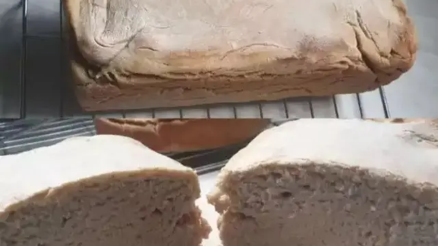 6 Roti Tawar Bentuk Nyeleneh Ini Bakal Bikin Kenyang Sebelum Makan