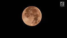 Gerhana bulan total terlihat di kota Semarang, Sabtu (28/7) dini hari. Gerhana bulan total tahun ini merupakan fenomena langka karena terjadi selama 1 jam 43 menit atau merupakan gerhana terlama yang terjadi di abad ini. (Liputan6.com/Gholib)
