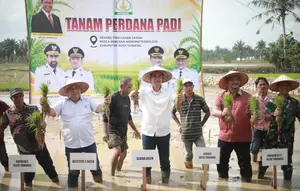 Pertanian Aceh Berangsur Pulih Usai Bencana Hidrometeorologi