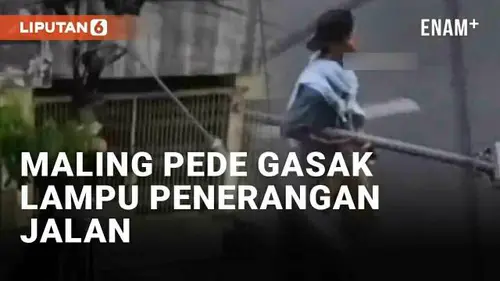 VIDEO: Agak Lain, Maling Pede Gasak Lampu Penerangan Jalan di Medan