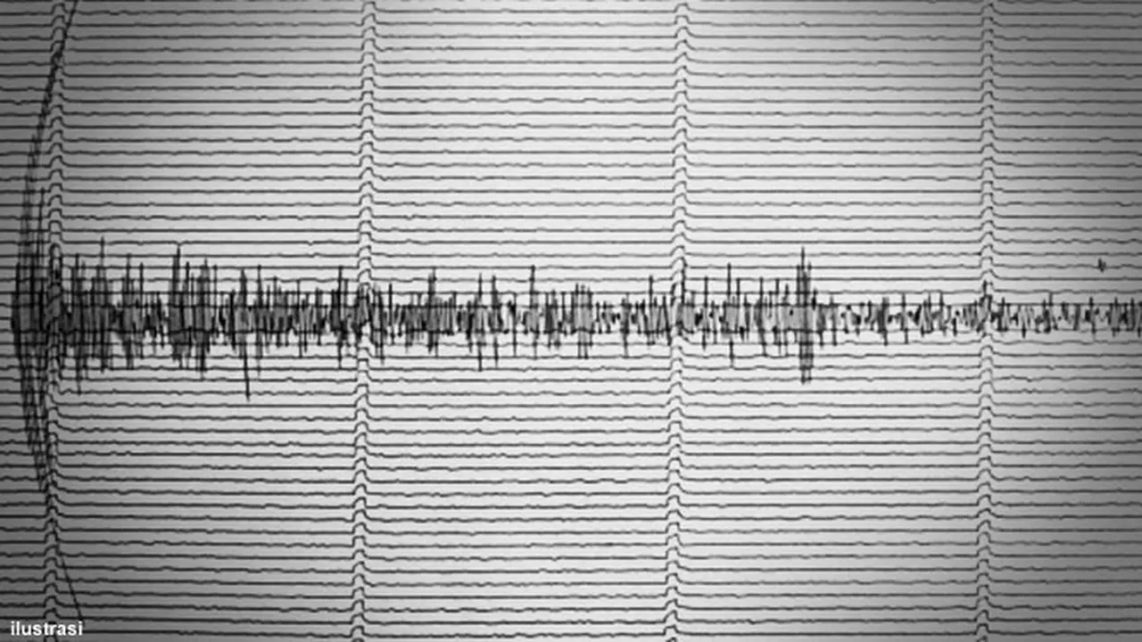 seismograf130206b.jpg