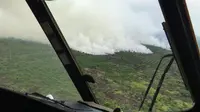2 Titik Kebakaran Lahan di Riau Merupakan Areal Perkebunan Sawit