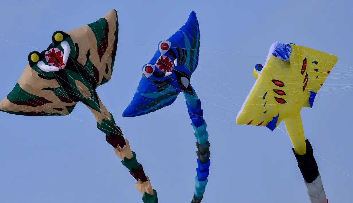 Layang-layang terbang menghiasi langit selama Festival Layang-Layang Internasional ke-33 di Berck-sur-Mer, Prancis utara, Sabtu (6/4/2019). Festival Layang-Layang Internasional ini diselenggarakan setiap bulan April dan berlangsung selama 10 hari.  (Photo by Philippe HUGUEN / AFP)