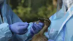 Dokter departemen satwa liar India mengumpulkan sampel usap dari bebek di taman Manda di Jammu, India (7/1/2020).  Di negara bagian utara Himachal Pradesh melaporkan kasus flu burung, sekitar 2.400 burung migrasi kebanyakan angsa ditemukan mati di sekitar bendungan Pong Dam. (AP Photo/Channi Anand)