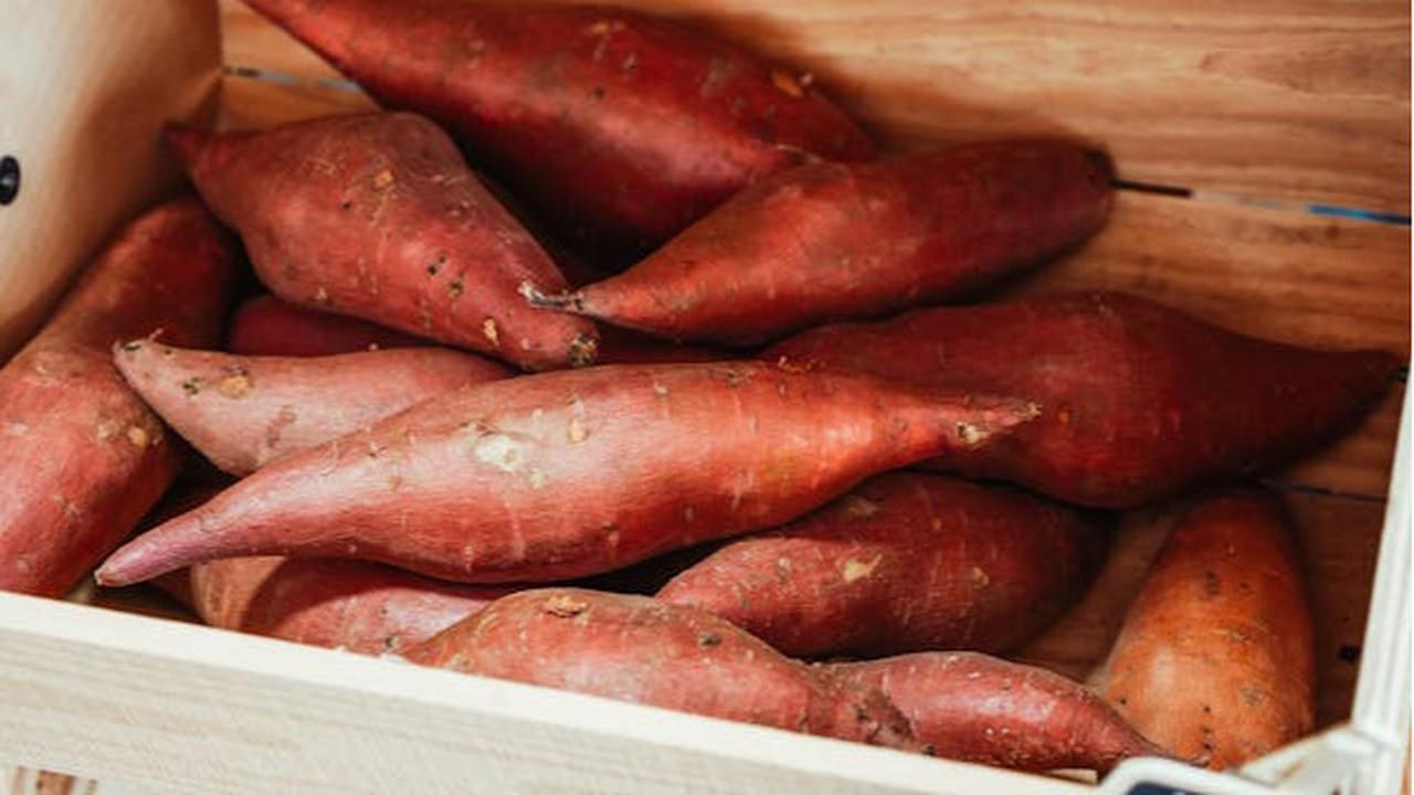 9 Makanan Kaya Biotin untuk Menunjang Kesehatan Rambut dan Kulit