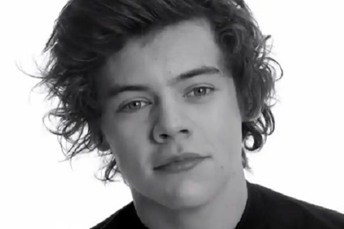 Harry Styles/ mirror.co.uk